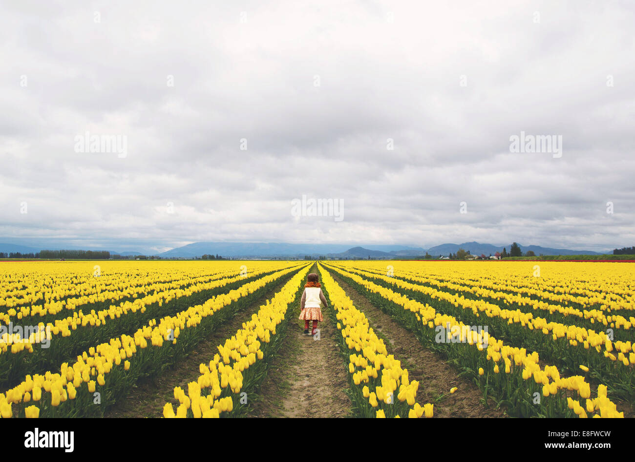 Ragazza che cammina attraverso un campo di tulipani Foto Stock