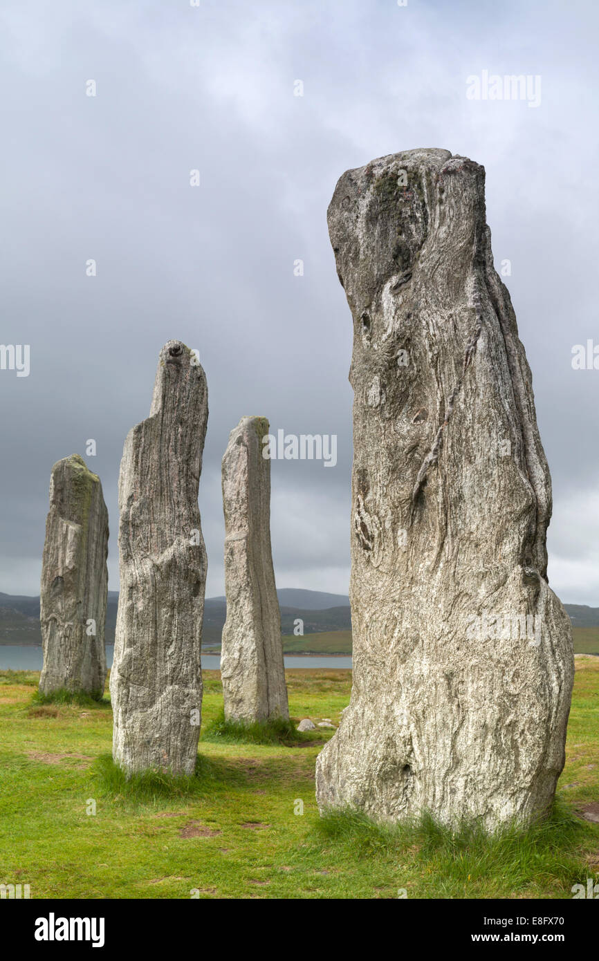 Lewisian Gneiss Callanish pietre permanente di isola di Lewis, Scozia Foto Stock