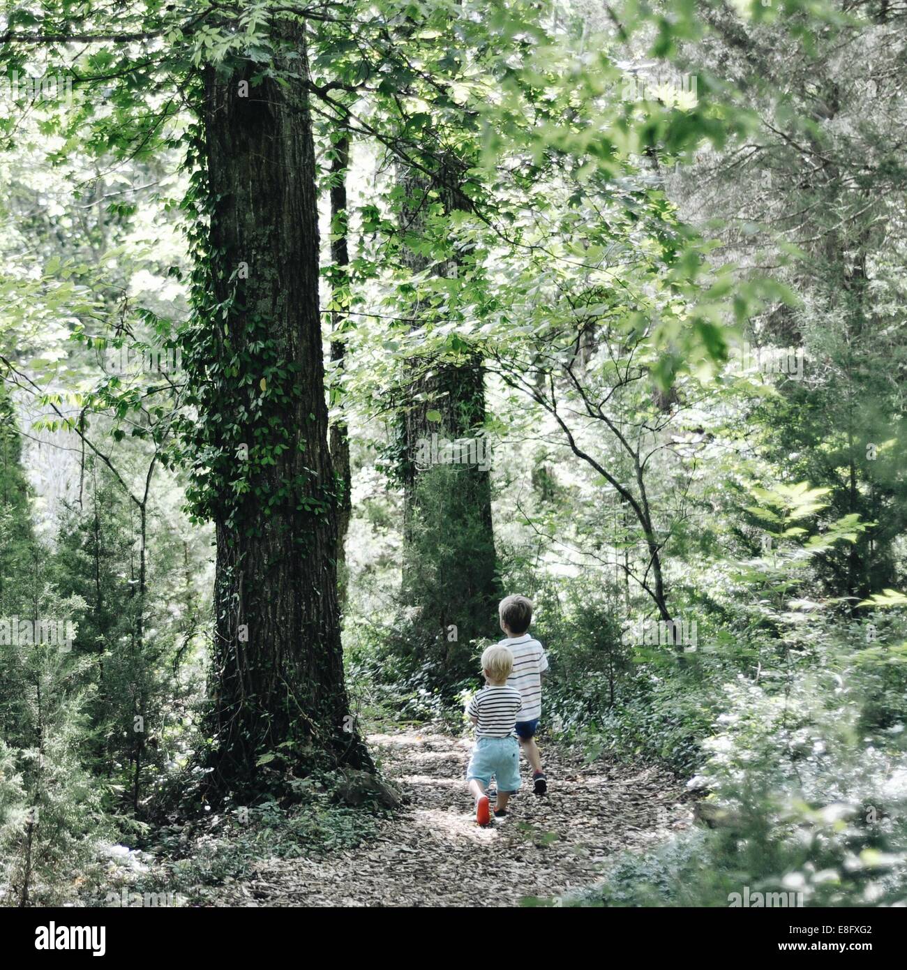 Due ragazzi a piedi nei boschi Foto Stock