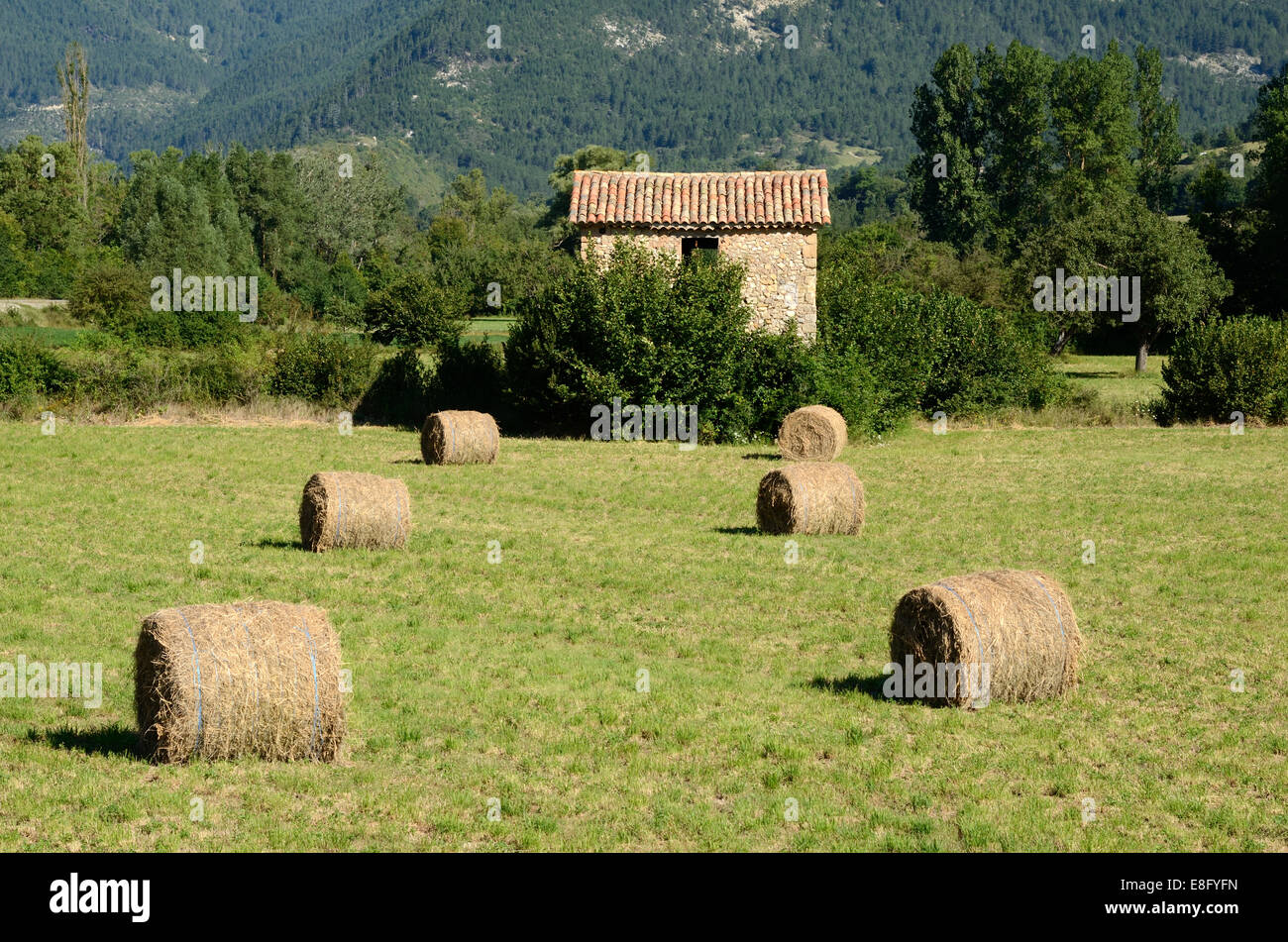 Paesaggio rurale o di campagna con Cabanon o azienda edilizia & balle di fieno o Harvest Barrême Alpes-de-Haute-Provence Francia Foto Stock