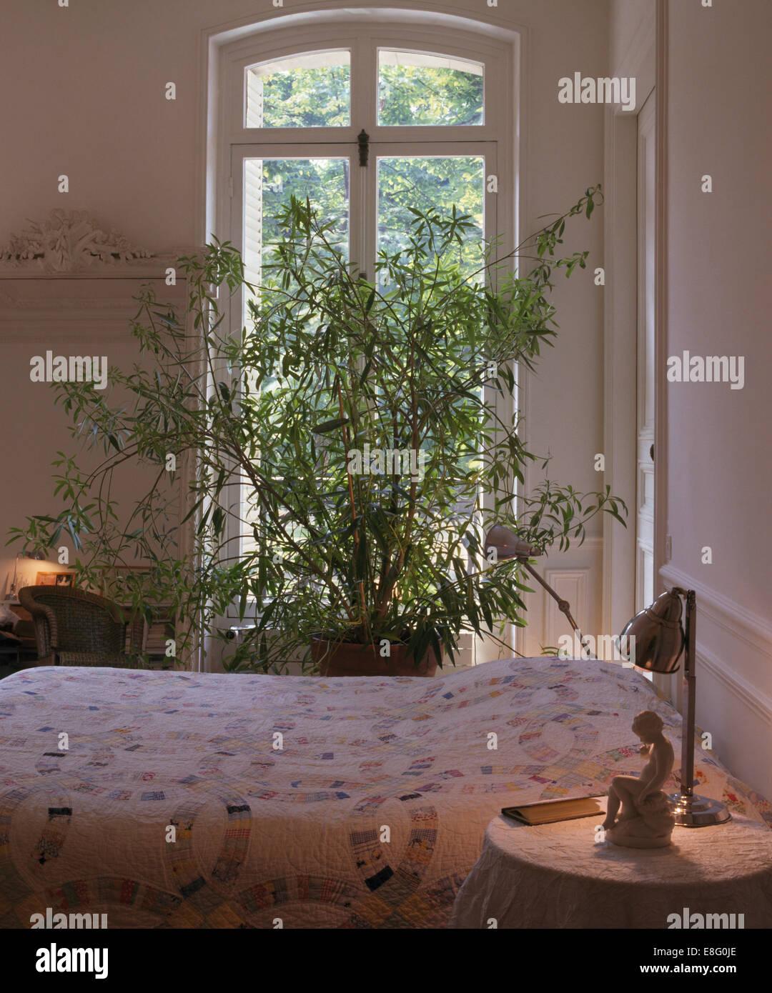 Tall pianta verde nella parte anteriore della finestra nella luminosa e ariosa e camera da letto con la lampada accesa sul piccolo comodino Foto Stock