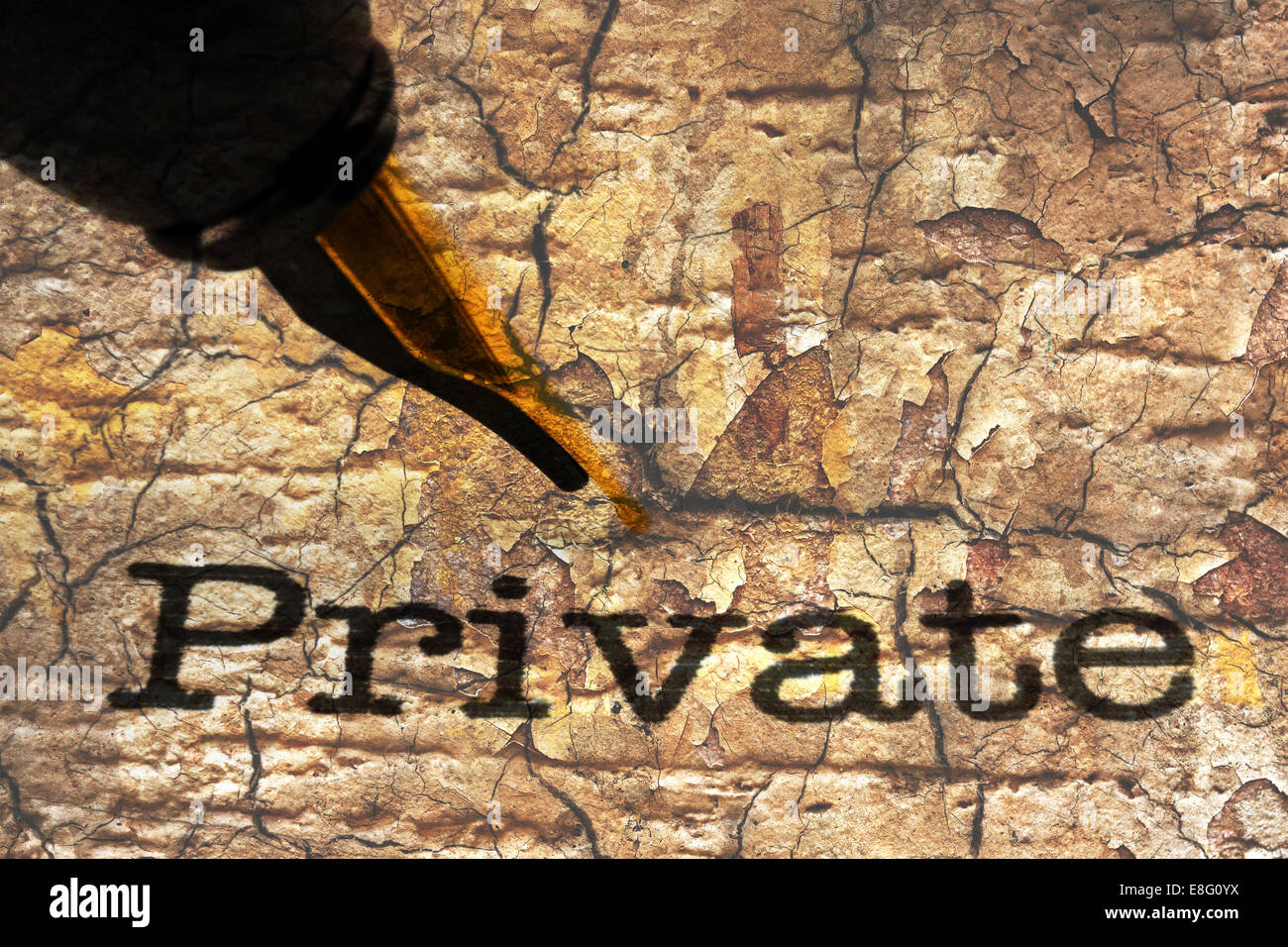 Penna stilografica sul testo privato Foto Stock