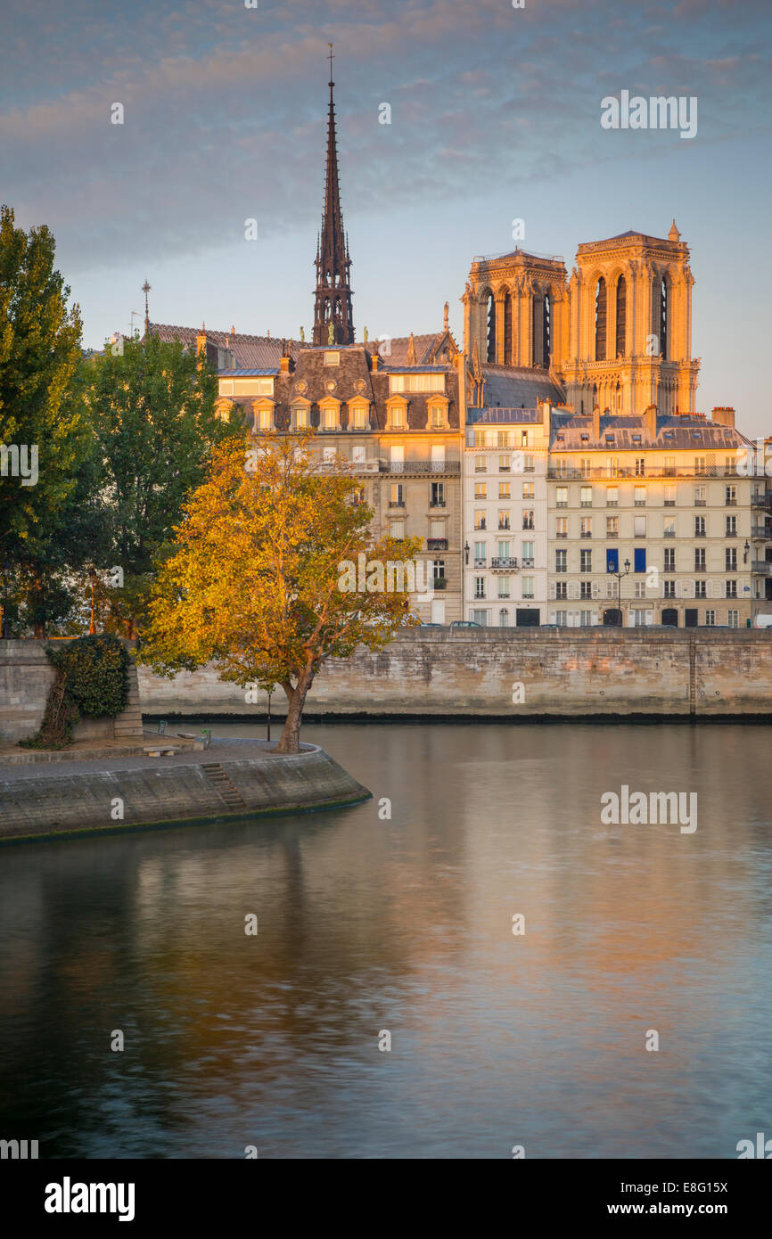 Primi raggi del tramonto sulle torri della cattedrale di Notre Dame e gli edifici di Ile-de-la-Cité, Parigi, Francia Foto Stock