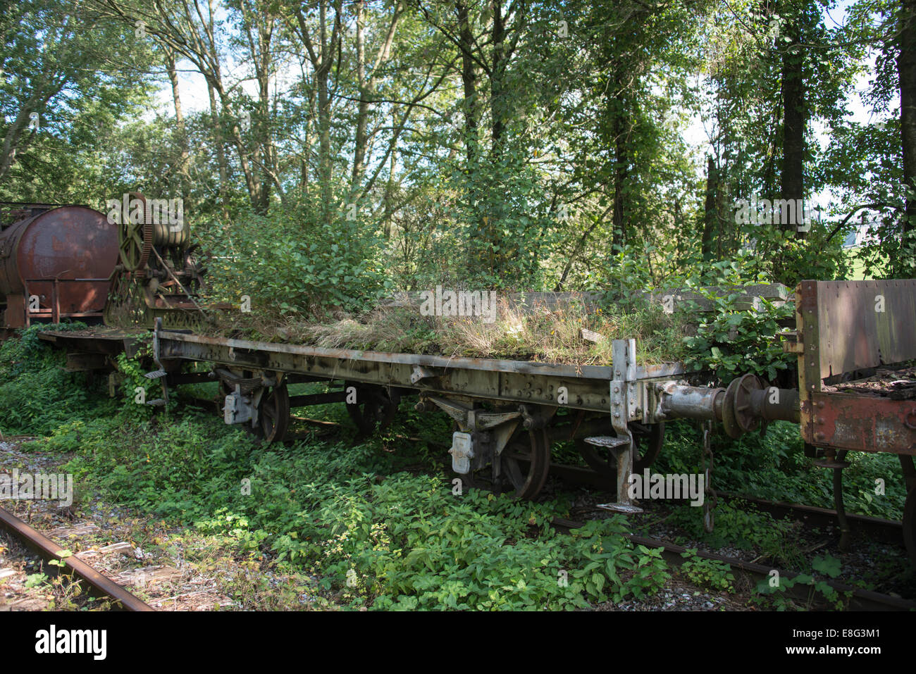 Vecchio arrugginito con il treno alla stazione ferroviaria di hombourg in Belgio ricoperta con piante e alberi Foto Stock