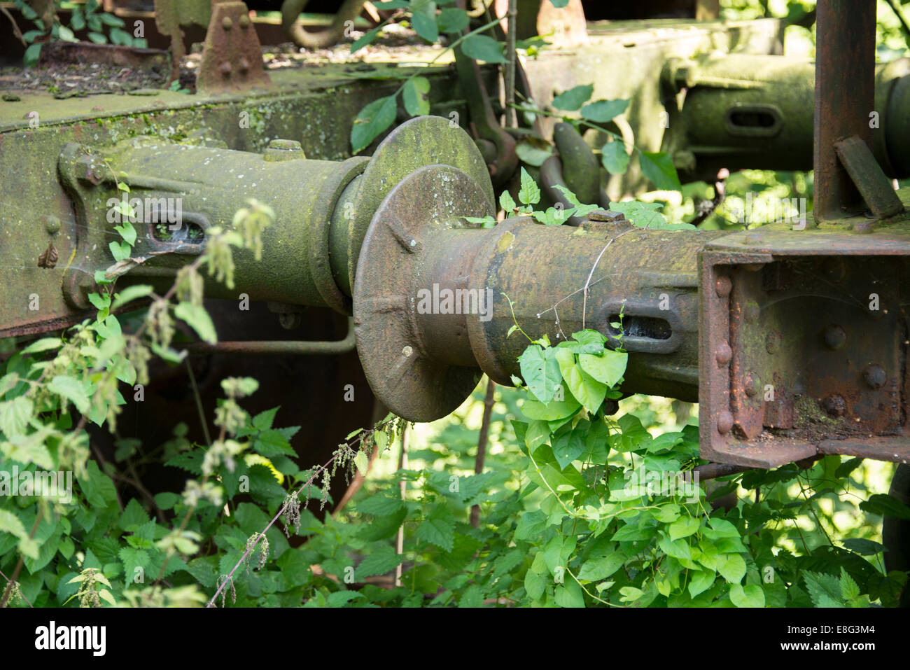 Ferro vecchio arrugginito treno buffer con piante verdi ricoperta Foto Stock