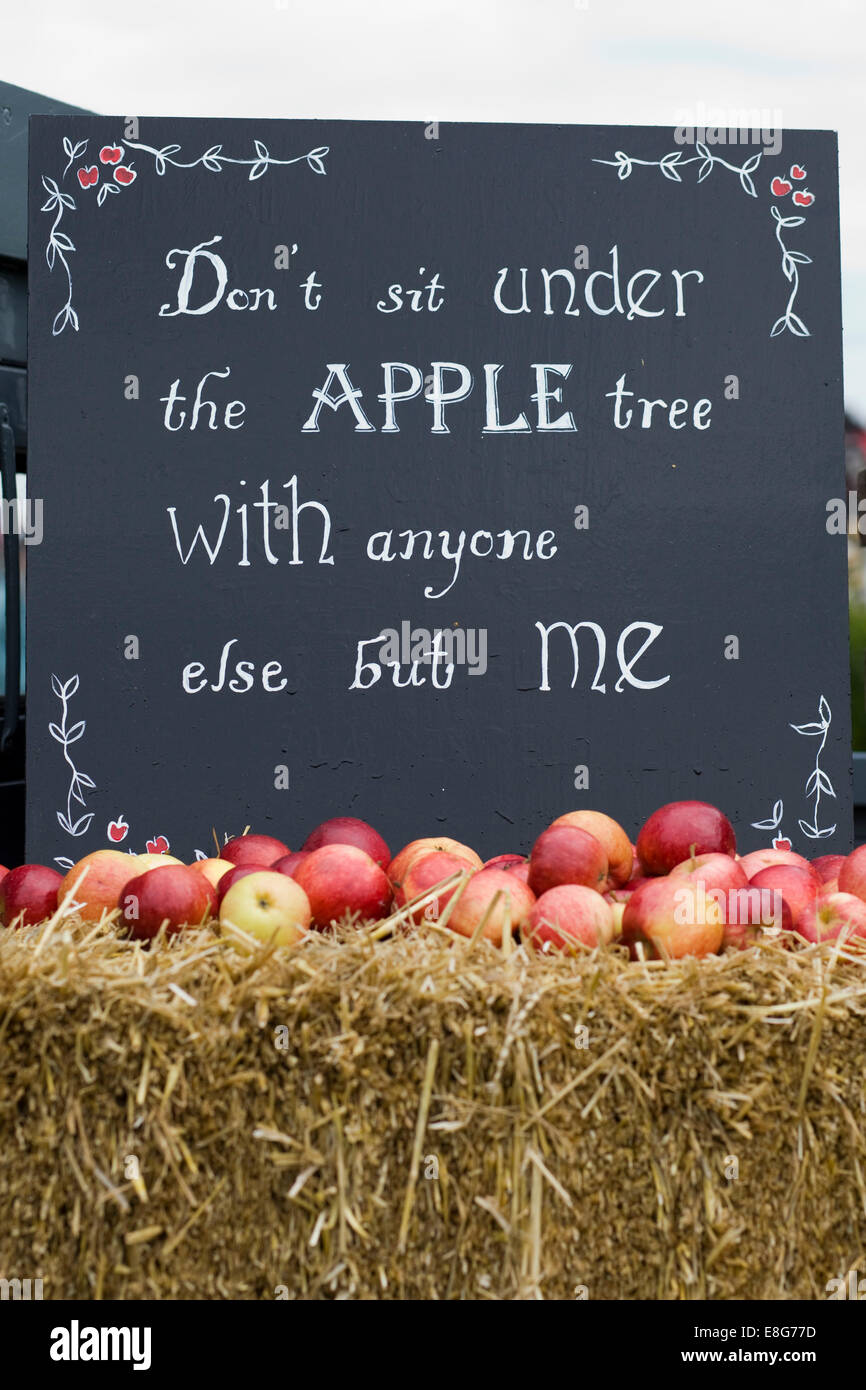 'Non sedersi sotto il melo con chiunque altro ma me' lavagna con le mele su di una balla di paglia Foto Stock