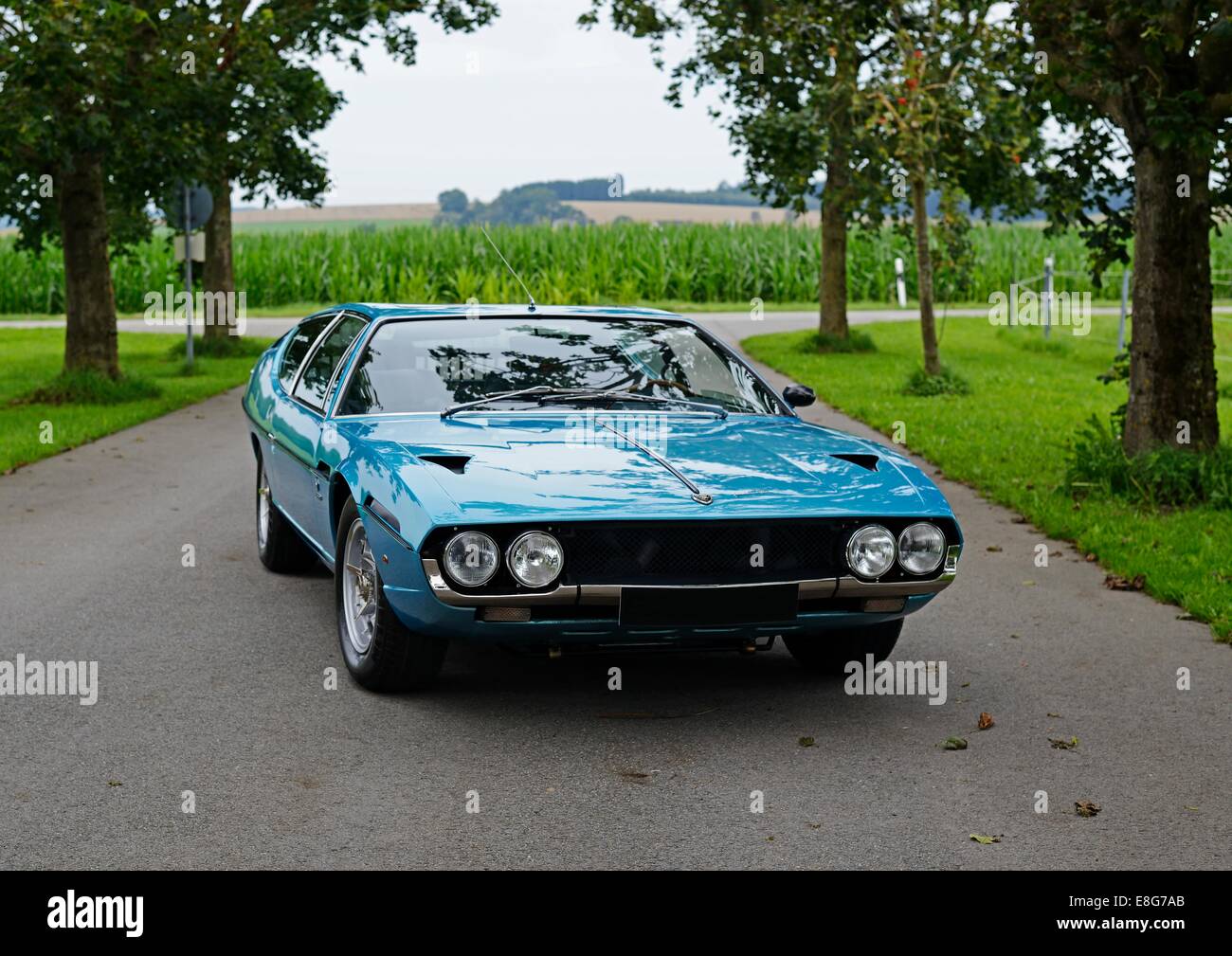 Blue Lamborghini Espada classic car in piedi su un viale alberato viale con campi dietro Foto Stock