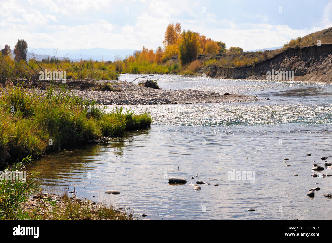 Il Gros Ventre (ˈgrō-ˌvänt) fiume scorre passato riva erbosa sulla luminosa giornata autunnale. Il Wyoming, STATI UNITI D'AMERICA Foto Stock