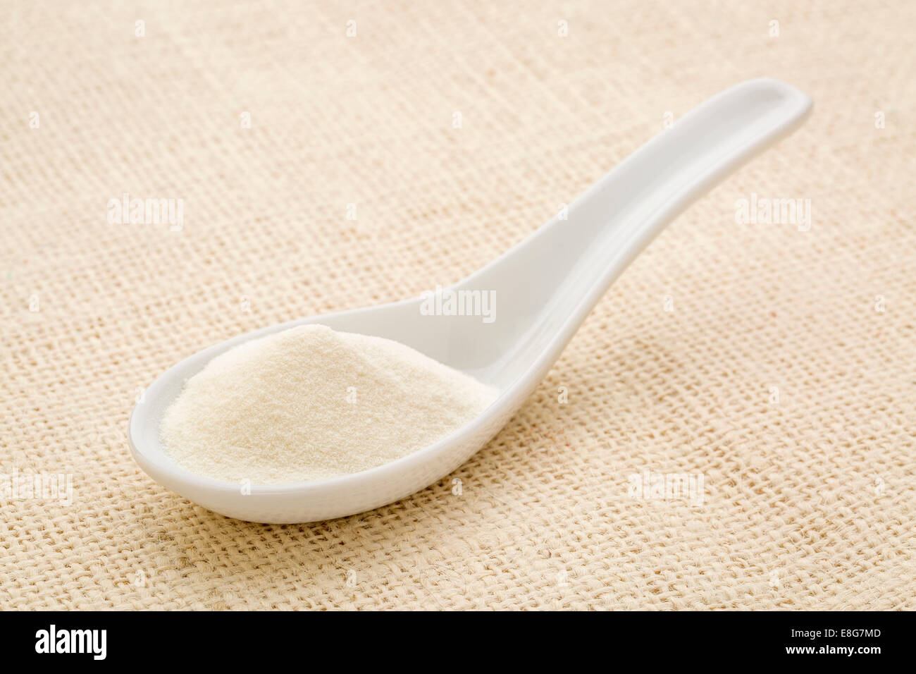 Proteina di collagene in polvere in un bianco cucchiaio cinese contro la tela Canvas Foto Stock
