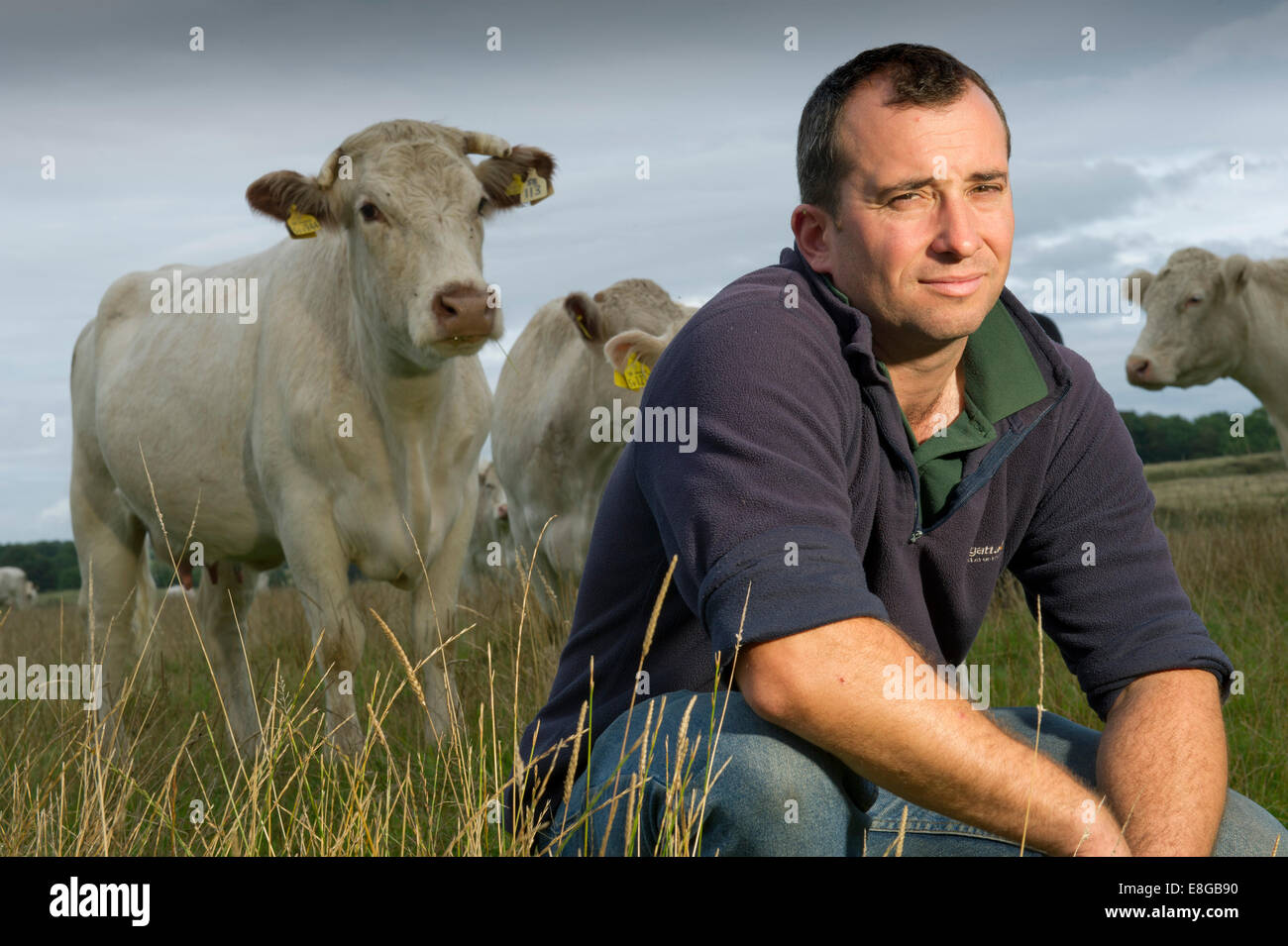 Carni bovine agricoltore james piccola della sua azienda agricola in Mendip Hills Foto Stock