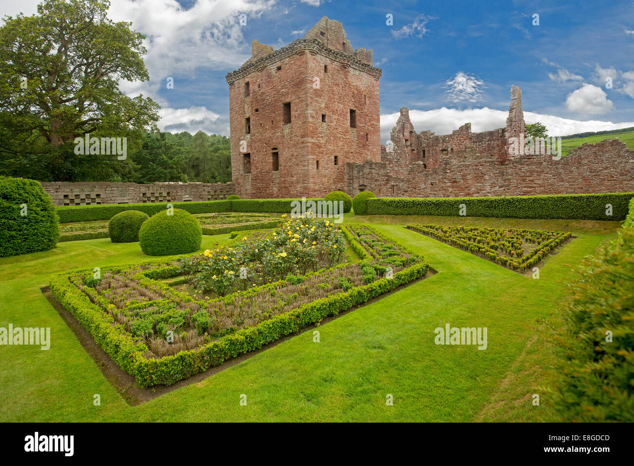 Formale del xvii secolo giardini murati con basse siepi, topiaria da, rose, prati sotto il cielo blu nello storico castello Edzell, Scozia Foto Stock