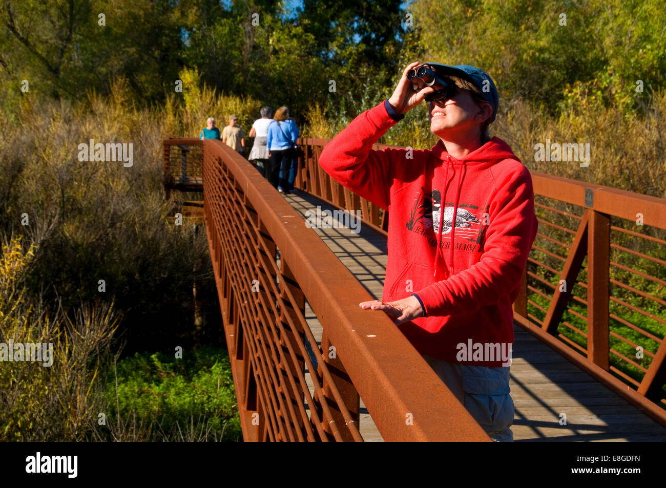 Il sentiero ponte sul fiume Cosumnes preservare, California Foto Stock