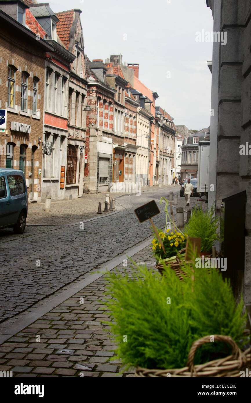 Europa; Belgio; Vallonia; Wallonne; Mons; Capitale Europea della Cultura 2015; Città Vecchia; Street; piante; persona; a piedi; a piedi Foto Stock