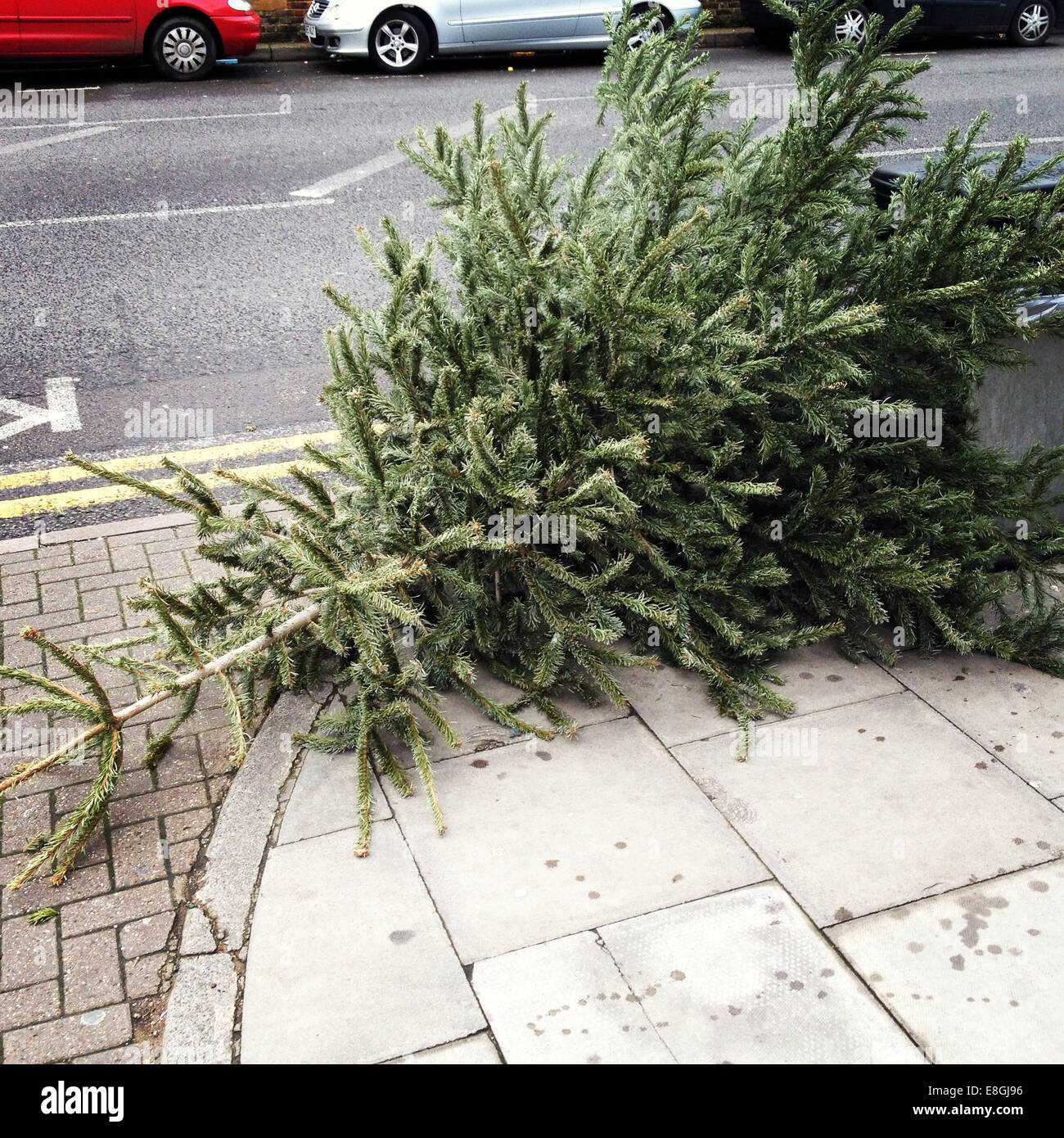 Albero di Natale scartato su strada, Londra, Inghilterra, Regno Unito Foto Stock