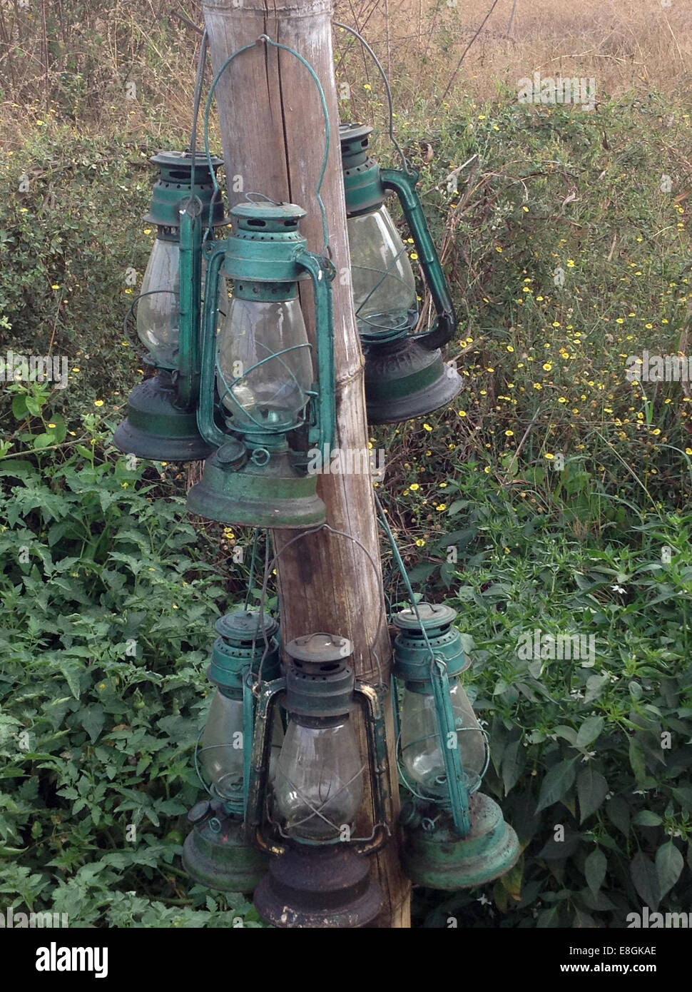 India Maharashtra, Garhchiroli, Chandrapur, Tadoba Andhari National Park, lampade pendenti sul picchetto Foto Stock