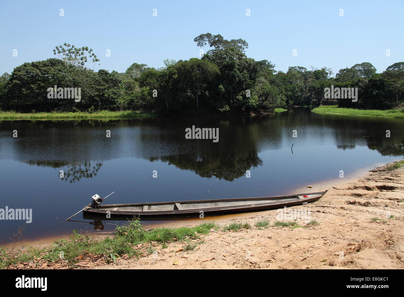 Il Brasile, Amazonas, canoa sul fiume Amazon Foto stock - Alamy