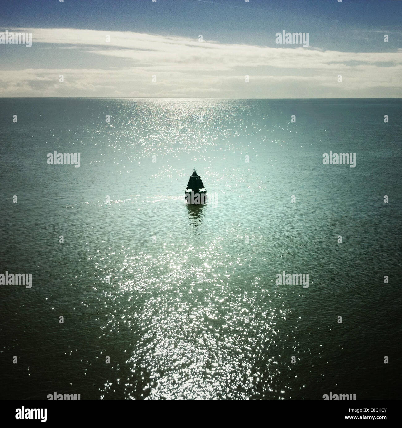 Silhouette di una boa solone in mare Foto Stock