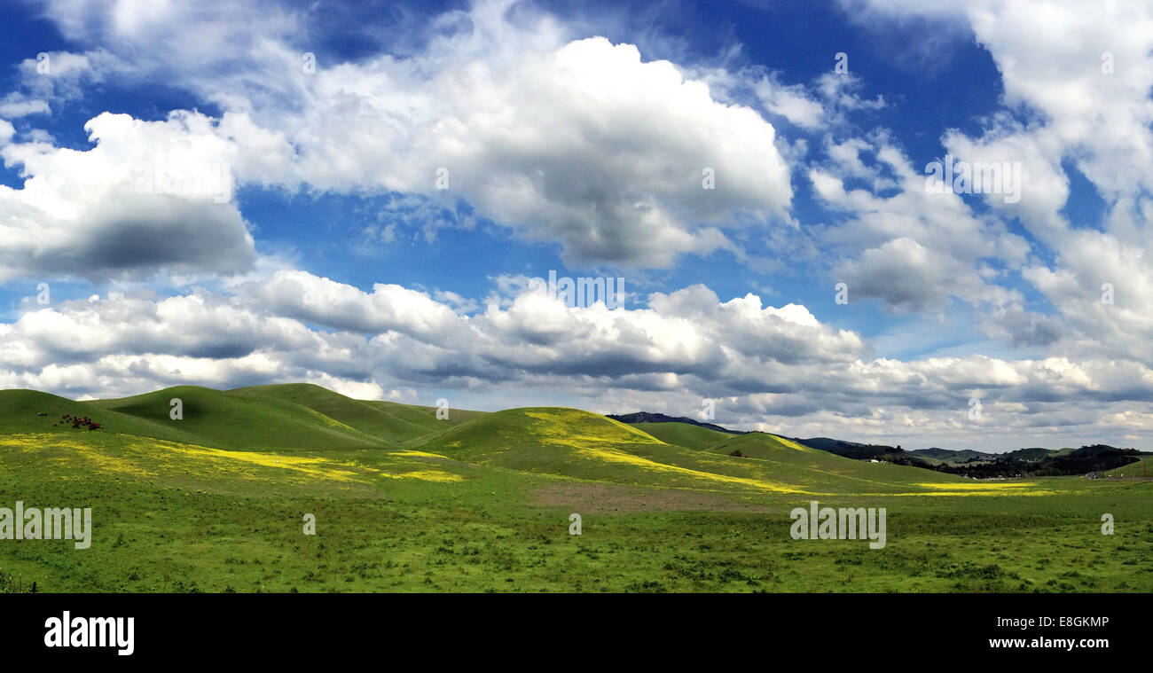 Danville, Contra Costa County, California, Stati Uniti d'America una luminosa giornata di primavera Foto Stock