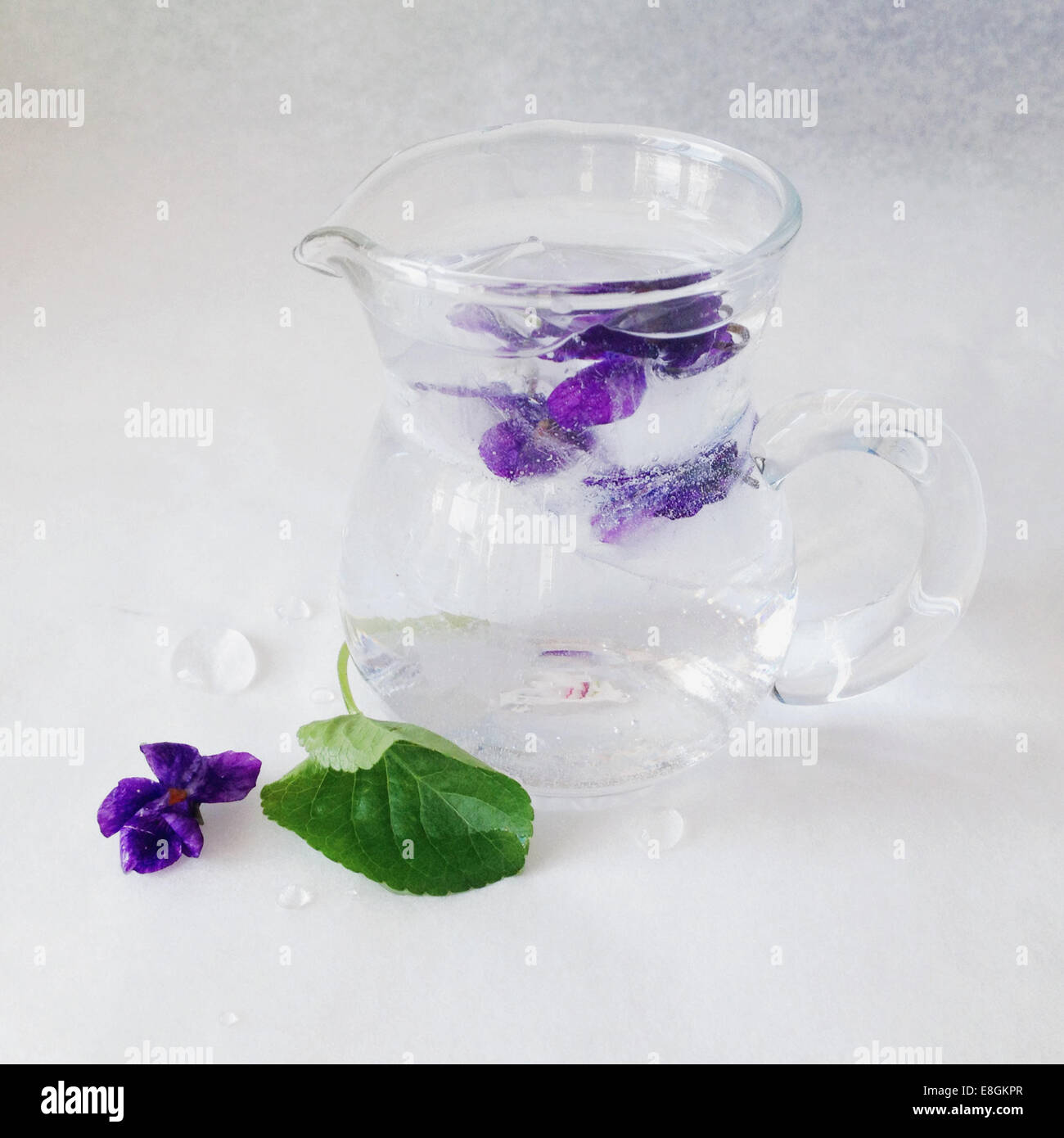 Viola commestibili in ghiaccio Foto Stock