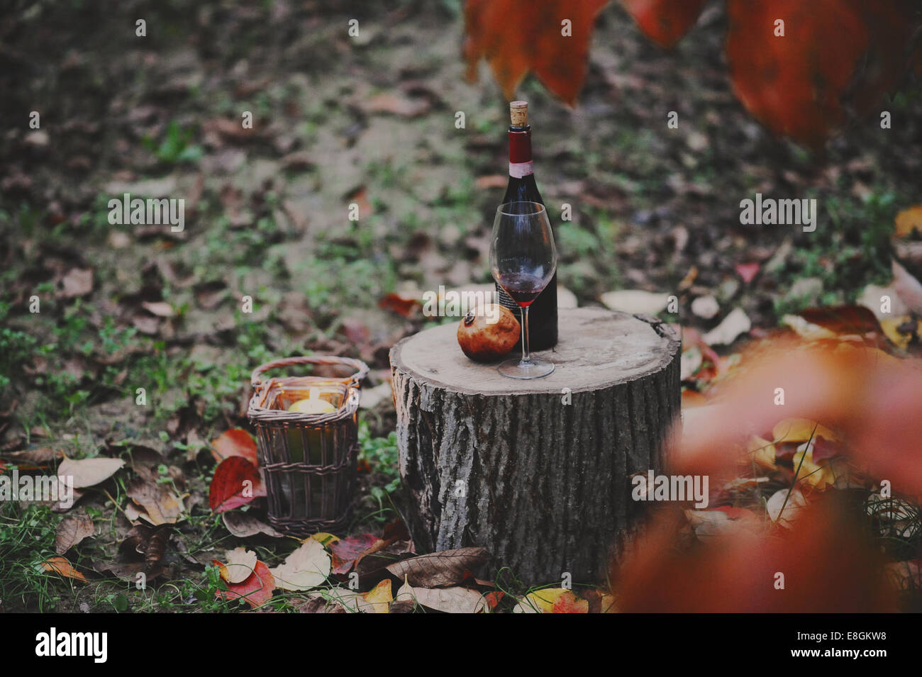 Italia, Piemonte, Tortona, still life con bottiglia di vino rosso, vetro e melograno in scena di autunno Foto Stock