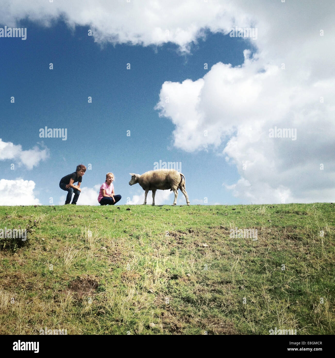 Due bambini con pecora in un campo Foto Stock