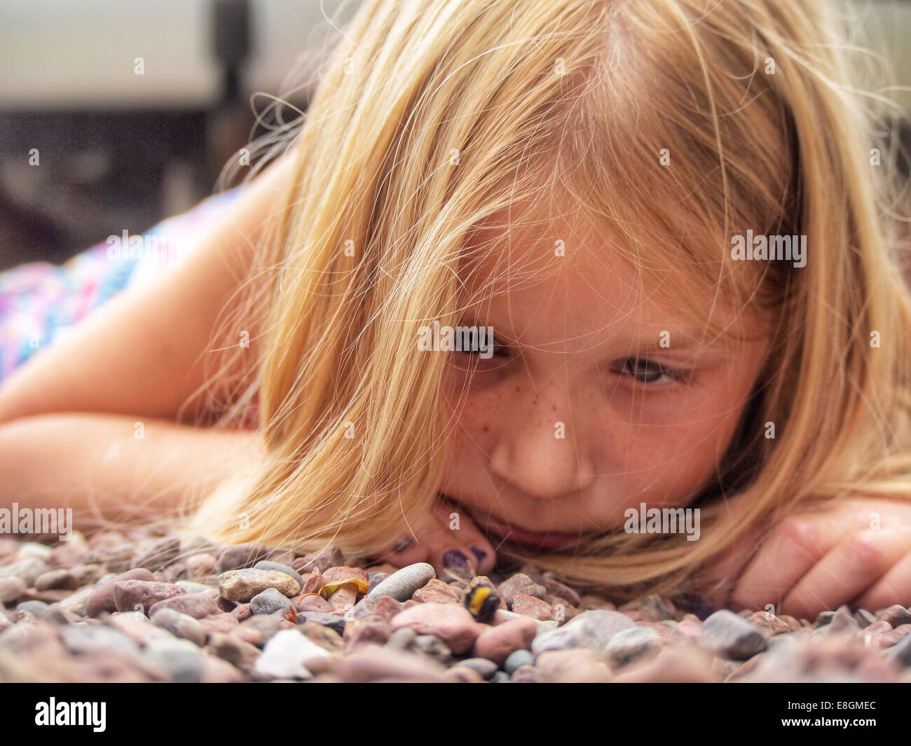 Ragazza che si stese a terra all'aperto guardando un bumblebee morto, Svezia Foto Stock