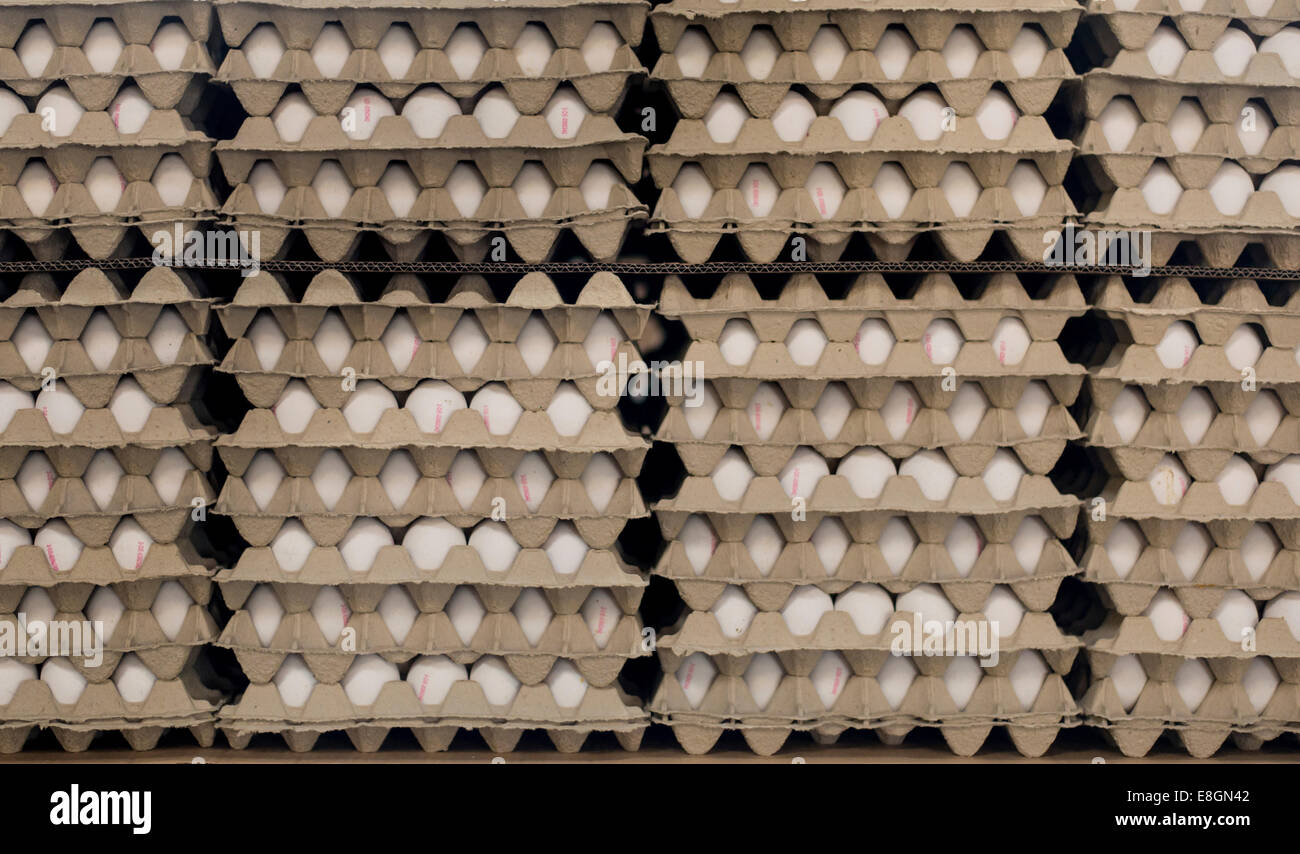 Uova impilati in scatole di cartone, Beham uovo società di tintura, Thannhausen, Baviera, Germania Foto Stock