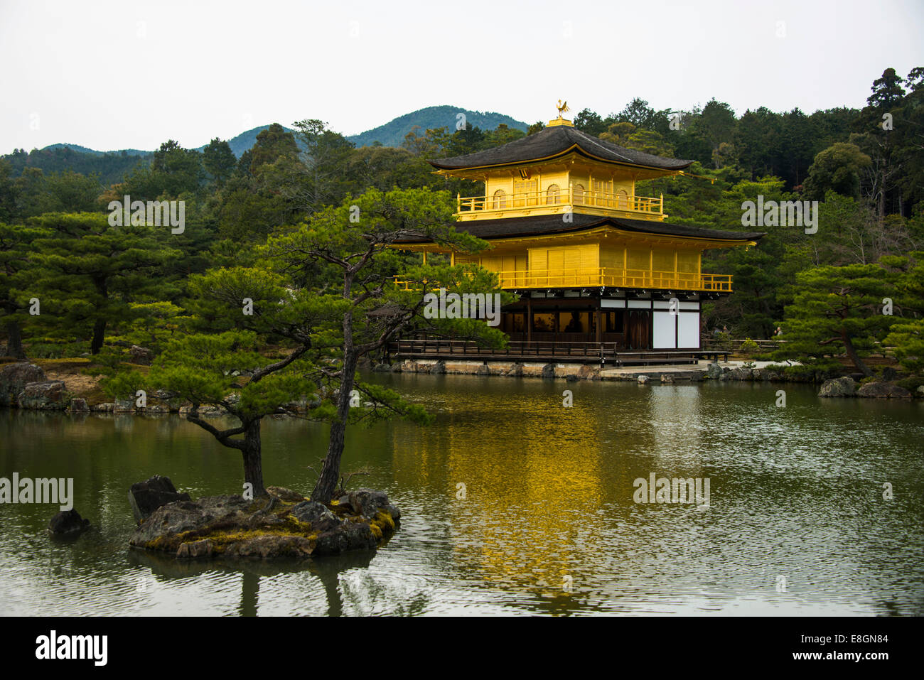 Kinkaku-ji o Padiglione Dorato, tempio buddista, Kyoto, Giappone Foto Stock
