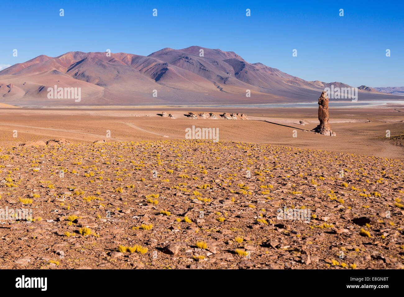 Monje de la Packana, il Deserto di Atacama, Cile Foto Stock