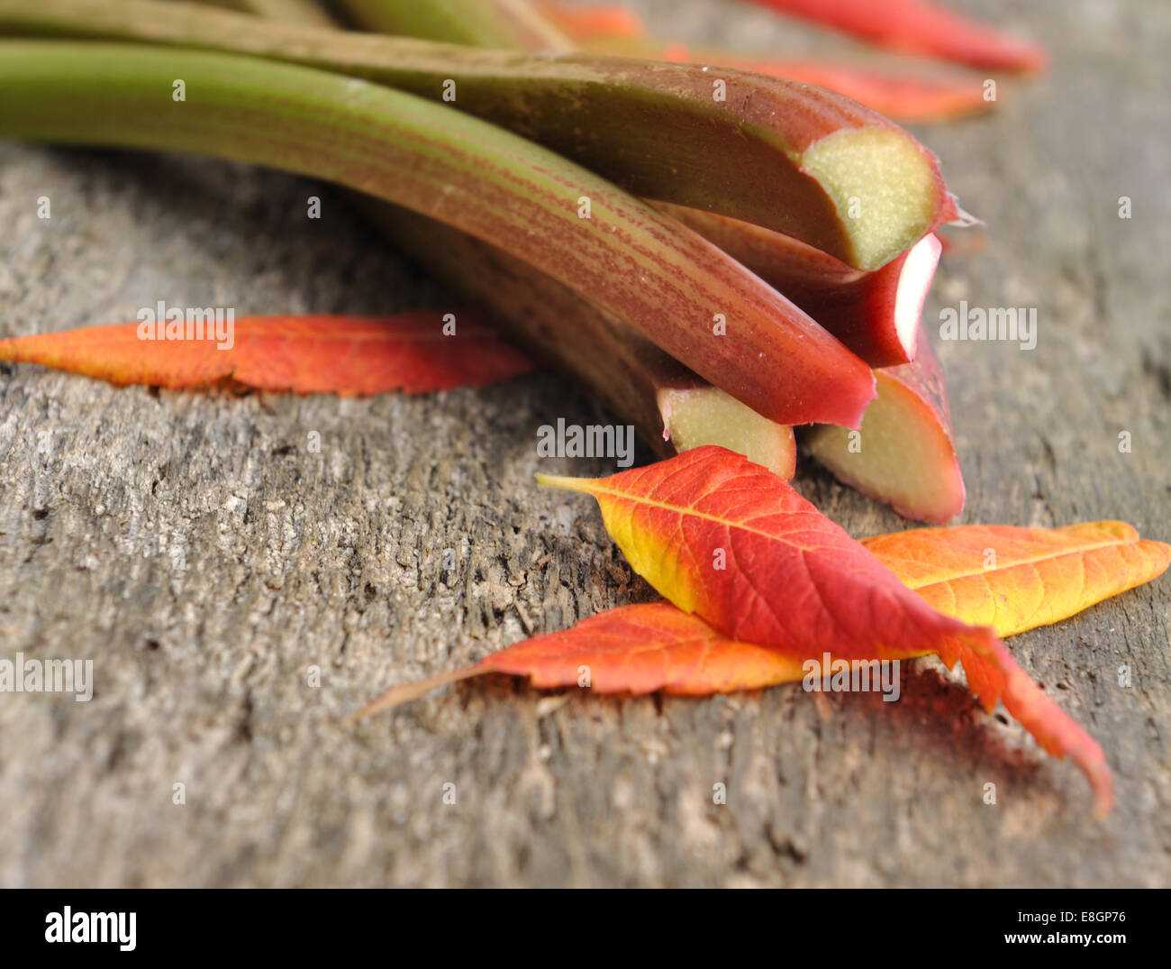 Rabarbaro con foglie rosse su una vecchia scheda di legno Foto Stock