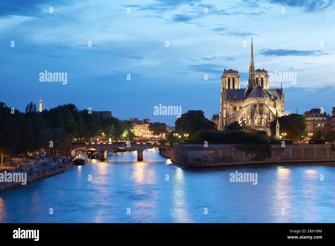 La cattedrale di Notre Dame di Parigi di notte con Senna e vista fiume Foto Stock