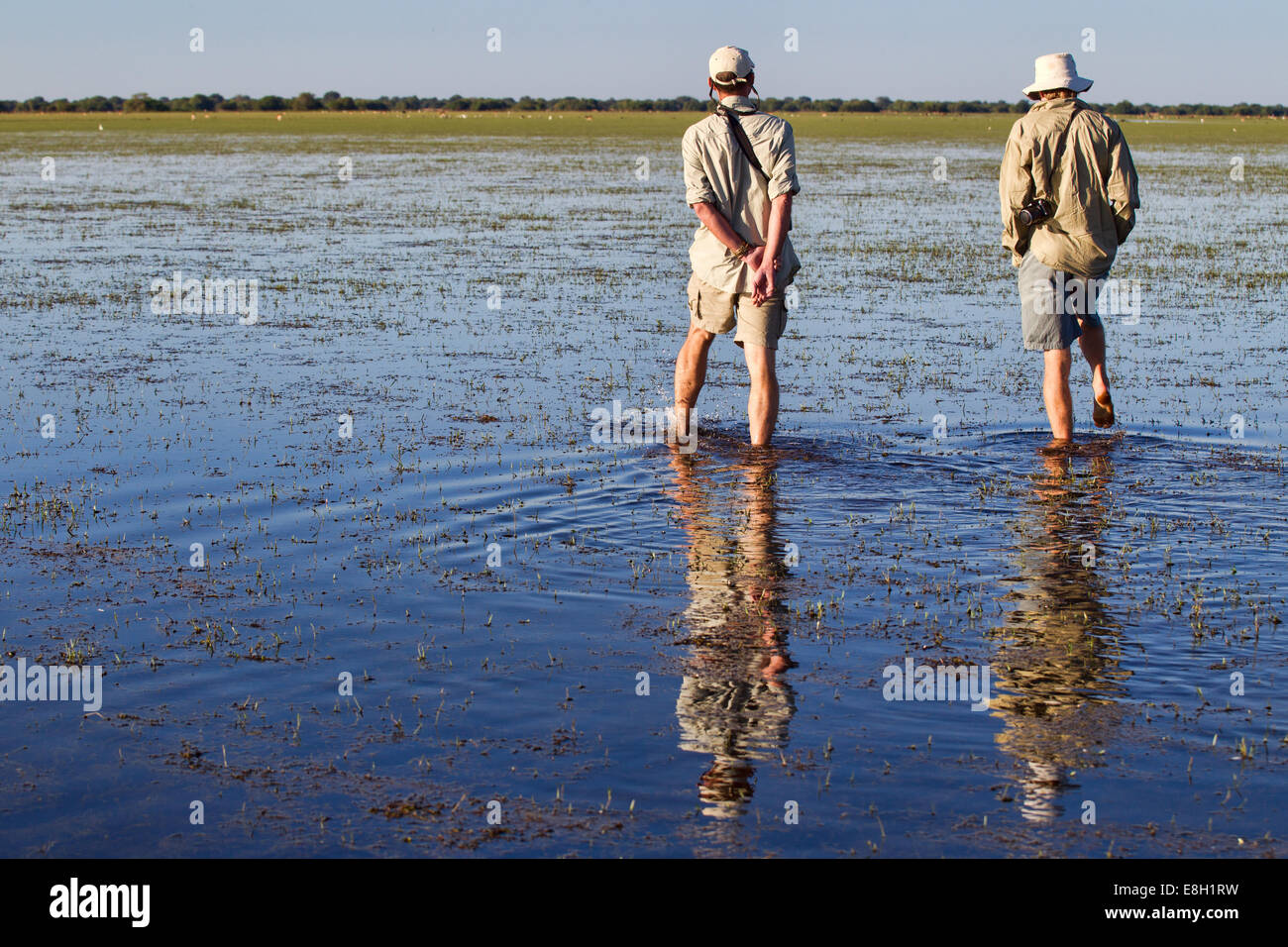 Due uomini in kaki a piedi attraverso l'acqua di bangweulu zone umide, Zambia Foto Stock