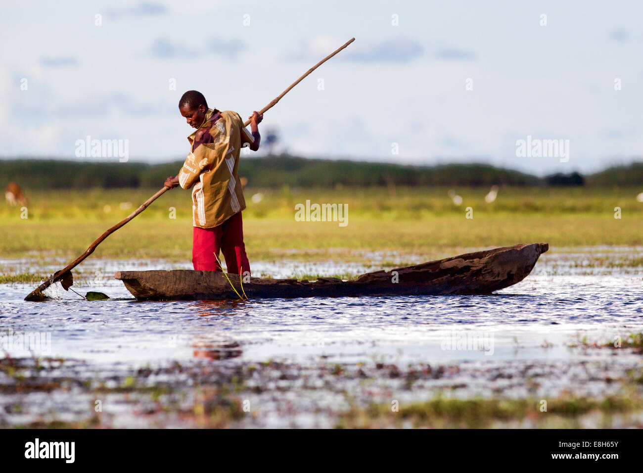Un pescatore scivola attraverso l'acqua mediante la polarizzazione di una piroga in Bangweulu zone umide, Zambia Foto Stock