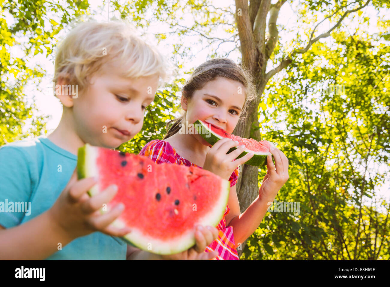 I bambini a mangiare fette di cocomero in giardino Foto Stock