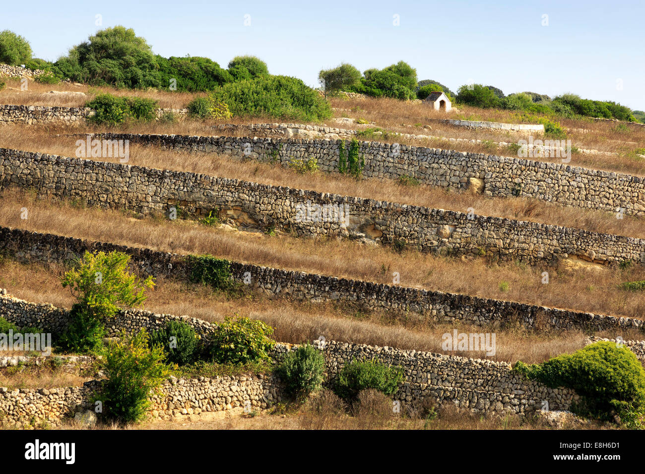 Tradizionali muri in pietra a secco utilizzata nelle aziende agricole sull'isola di Minorca, Isole Baleari, Spagna Foto Stock