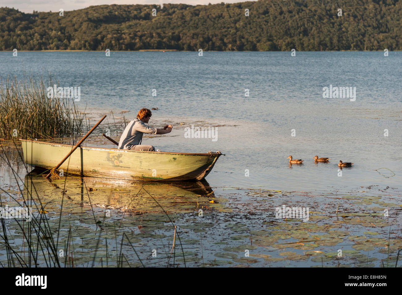 In Germania, in Renania Palatinato, Laach Lago, Uomo seduto in una barca a remi e di scattare una foto di anatre Foto Stock