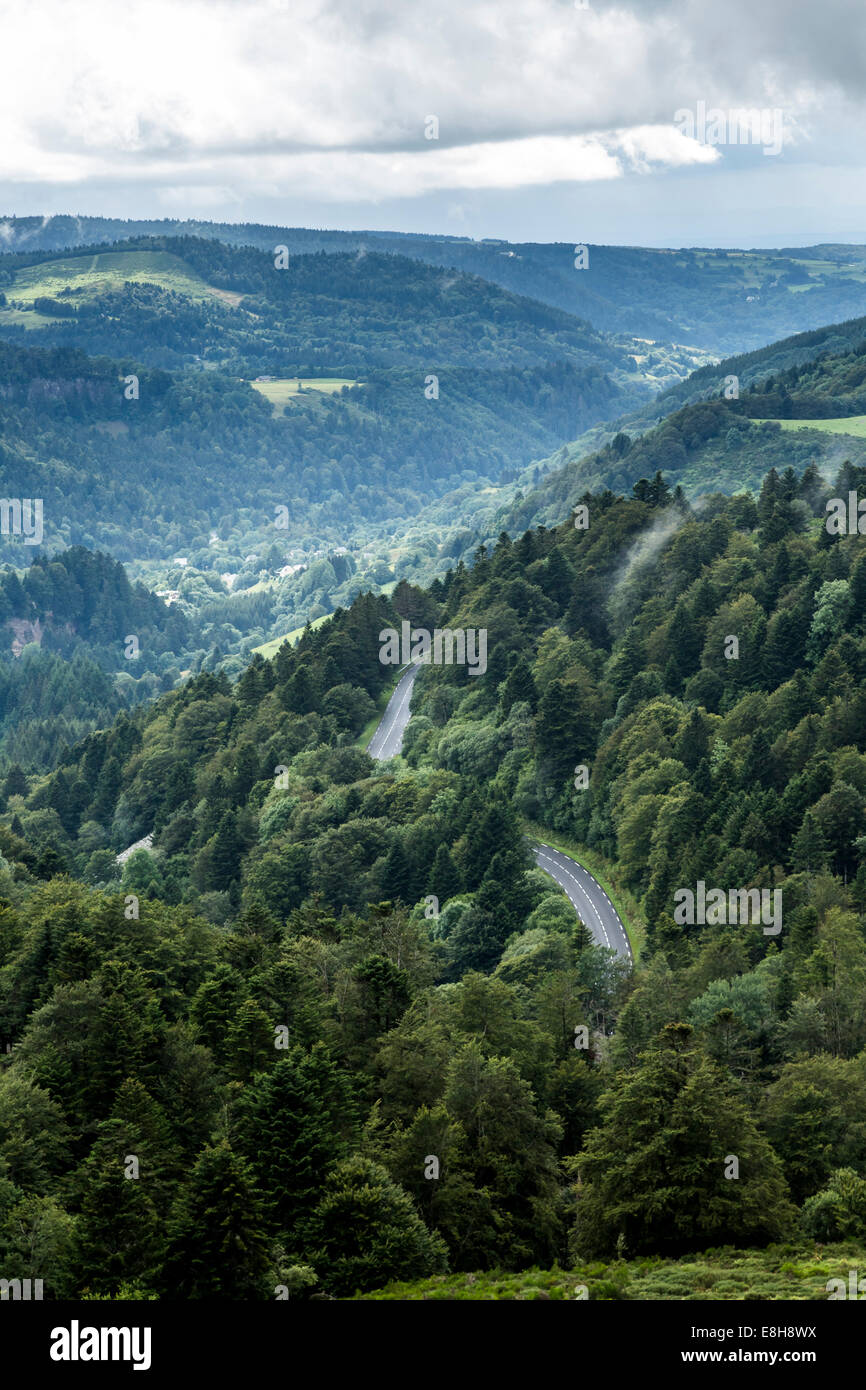 Francia, Auvergne, Riserva Naturale Vallee de Chaudefour Foto Stock