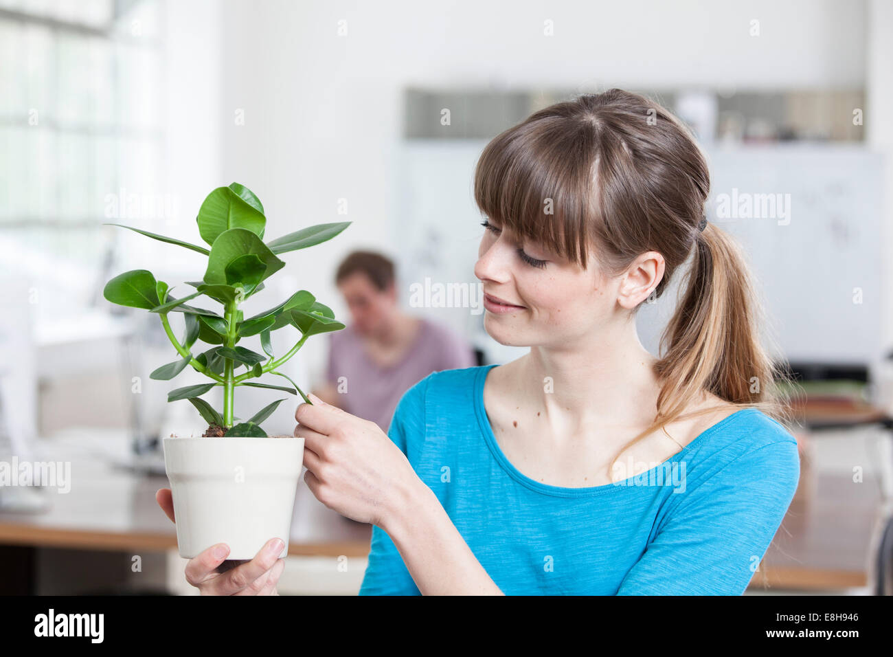 Ritratto di giovane donna con pianta in vaso in un ufficio creativo Foto Stock