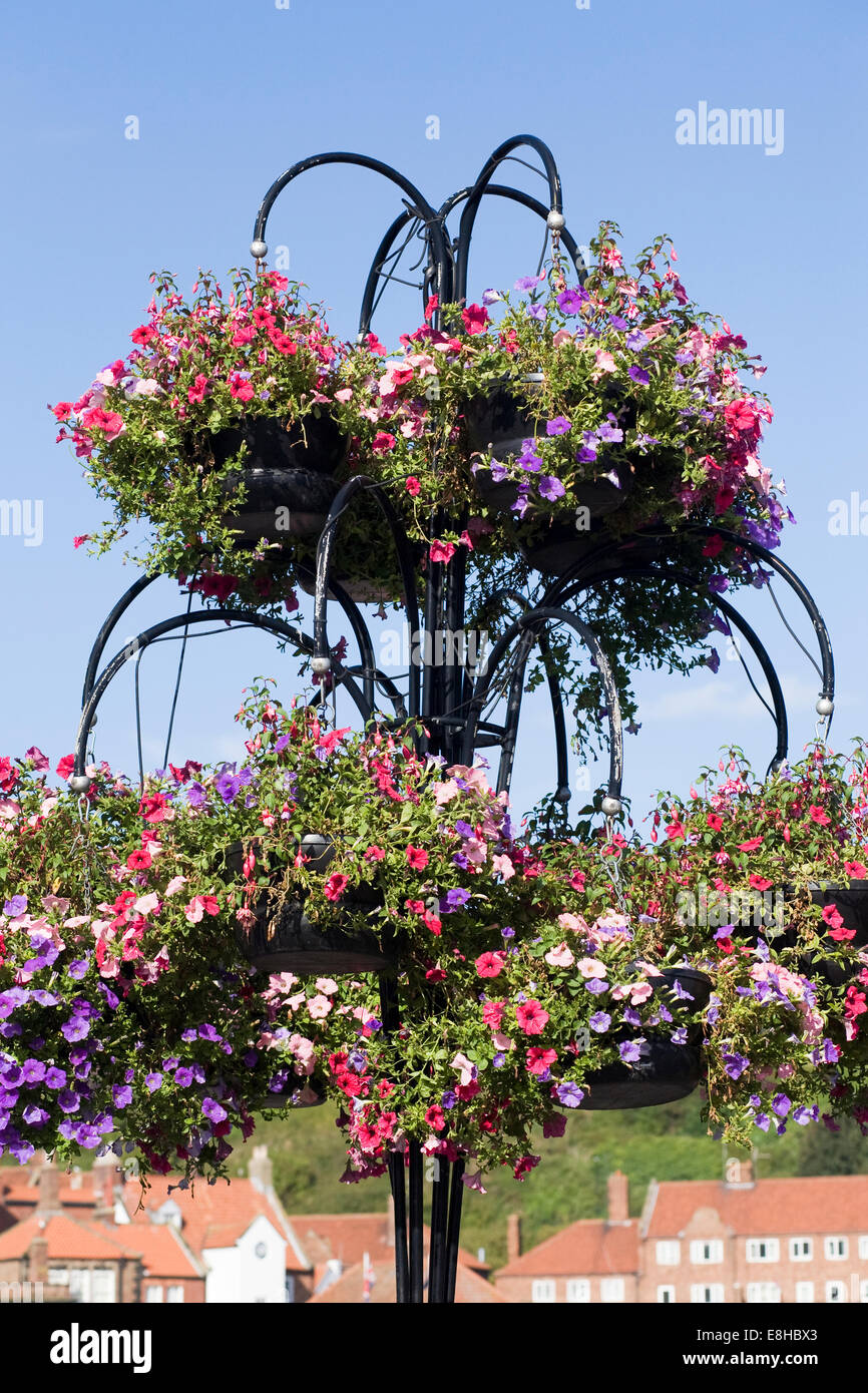 Colorati cestelli appesi nella città di Whitby. Foto Stock