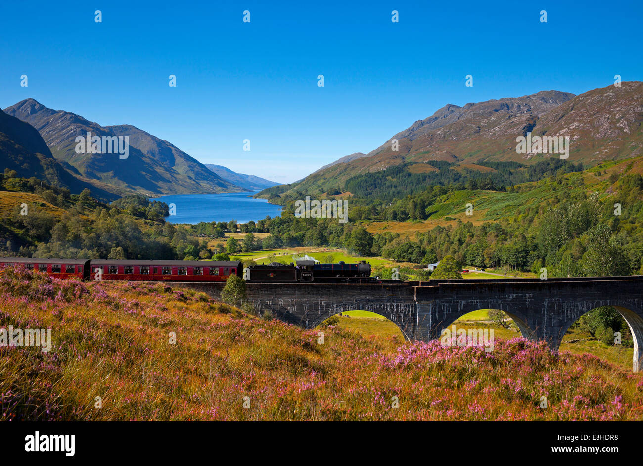 Giacobita Treno a Vapore viadotto Glenfinnan, Lochaber, Scotland, Regno Unito Foto Stock