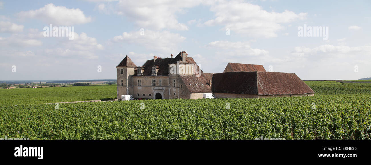 Lo Château du Clos de Vougeot premio Confrérie des Chevaliers du tastevin di fraternità dei Cavalieri della degustazione di vini Cup.Borgogna. Foto Stock