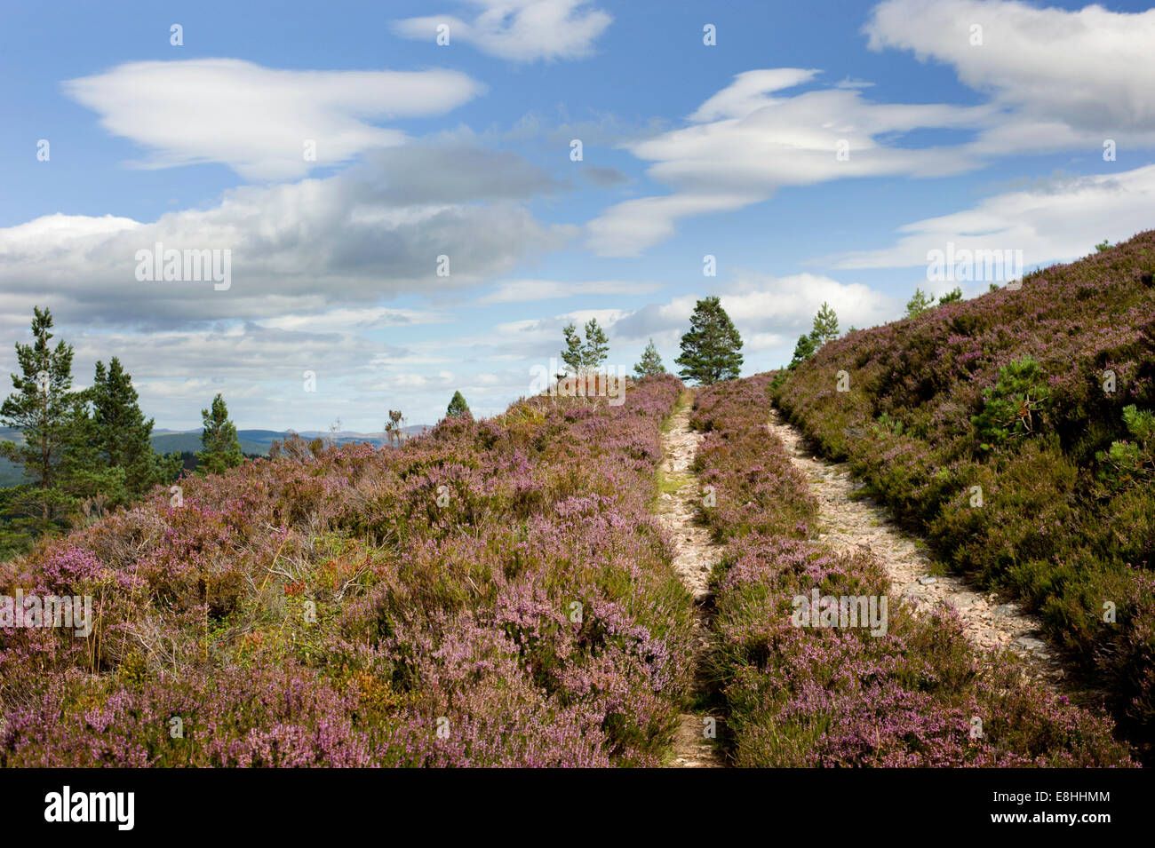 Un landrover via capi fino e oltre il heather colline rivestite di Glen Tanar estate nel parco nazionale di Cairngorms Scozia Scotland Foto Stock