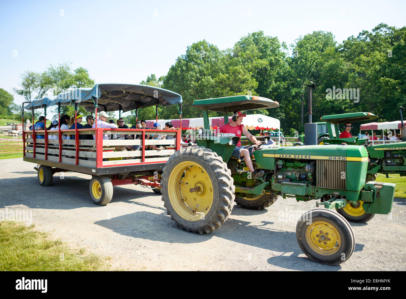 Butler's Orchard Strawberry picking Germantown Maryland // GERMANTOWN, Maryland - i visitatori si dedicano alla raccolta di fragole al Butler's Orchard, una famosa fattoria a conduzione familiare. Il frutteto offre un'esperienza stagionale "pick-your-own", consentendo agli ospiti di raccogliere fragole fresche direttamente dai campi. Butler's Orchard, fondato nel 1950, è noto per la sua varietà di frutta e verdura e ospita numerosi eventi agrituristici durante tutto l'anno. Foto Stock