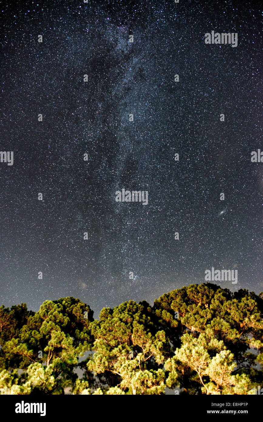 Via Lattea Galaxy Eastern Shore Maryland // EASTERN SHORE, Maryland, Stati Uniti - la galassia della via Lattea si estende attraverso il cielo notturno sopra le tranquille acque della Baia di Chesapeake lungo la costa orientale del Maryland. Questa regione costiera rurale offre cieli relativamente scuri rispetto alle aree urbane vicine, consentendo un'impressionante osservazione astronomica quando le condizioni sono favorevoli. La banda distintiva della galassia, che contiene miliardi di stelle, crea un suggestivo sfondo celeste sopra la superficie riflettente della baia. Questo spettacolo naturale è visibile al meglio durante i mesi estivi, quando la via Lattea è in galac Foto Stock