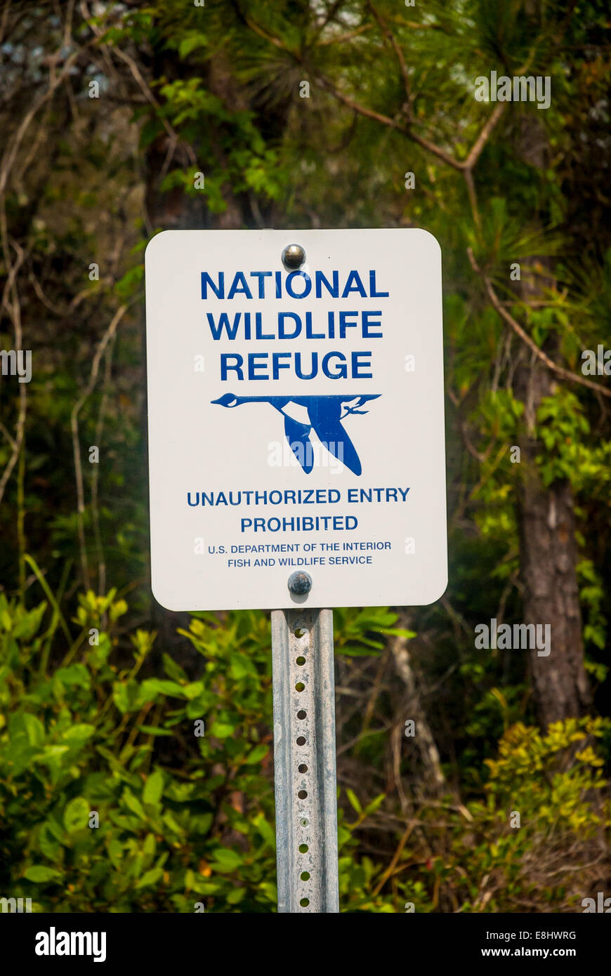 National Wildlife Refuge accedi Bon Secour National Wildlife Refuge, lungo la costa del golfo di Alabama, Stati Uniti d'America. Foto Stock