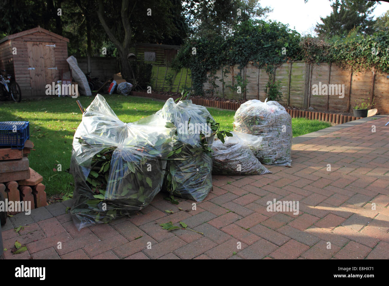 Scarti da giardino in sacchetti di plastica sul patio, il bidone dei rifiuti, Norwich, Regno Unito Foto Stock