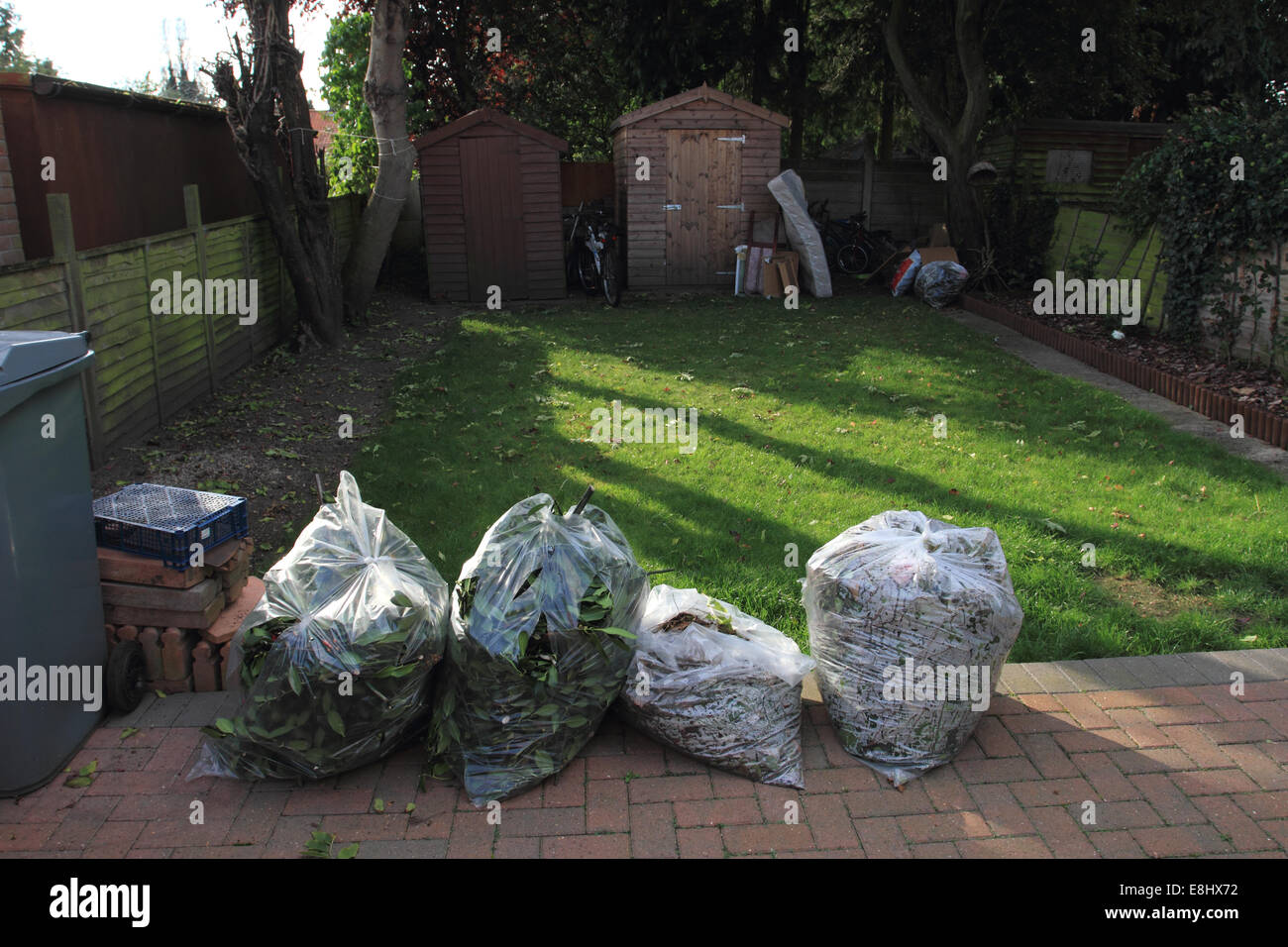 Scarti da giardino in sacchetti di plastica sul patio, il bidone dei rifiuti, Norwich, Regno Unito Foto Stock