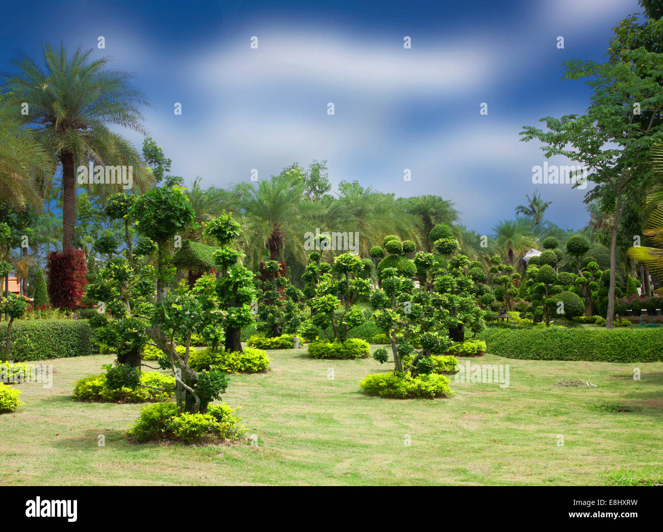 Bonsai naturale giardino con alberi rigogliosi parchi verdi. Foto Stock