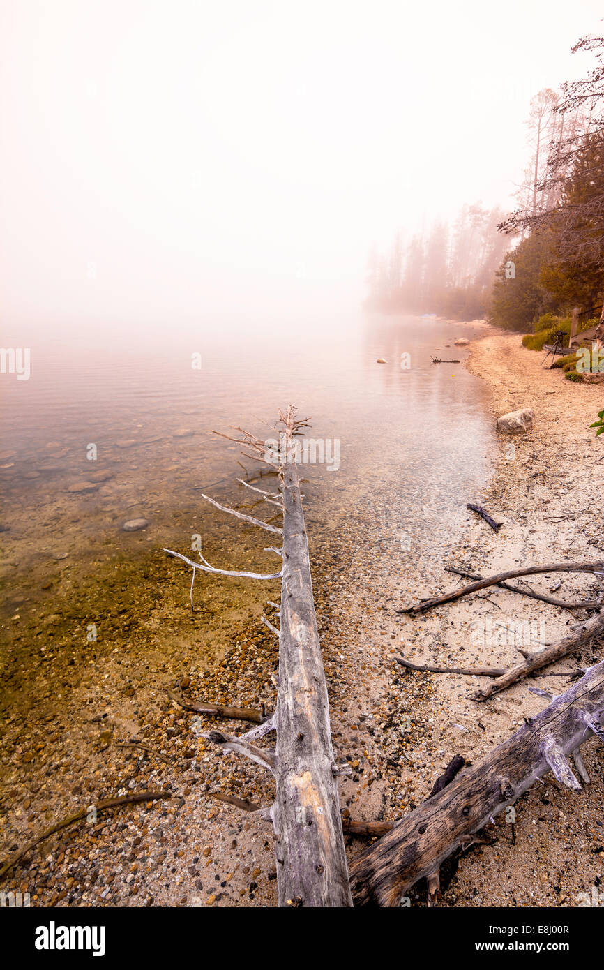 Mattinata nebbiosa sul Lago di Stanley Idaho Foto Stock