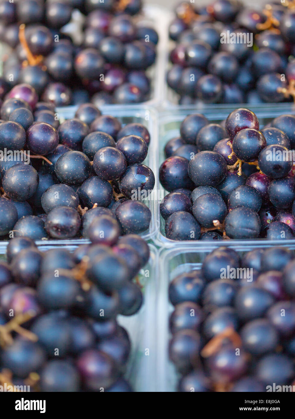 Organici di uve Moscato (Vitis rotundifolia) in vendita Foto Stock